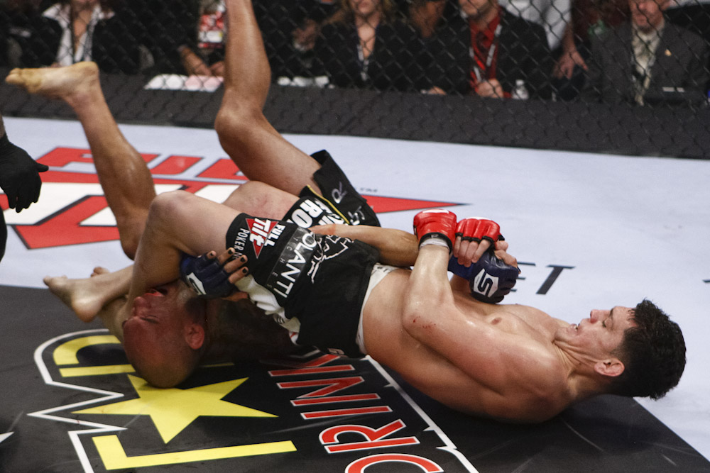 Résultat de recherche d'images pour "jiu jitsu mma"